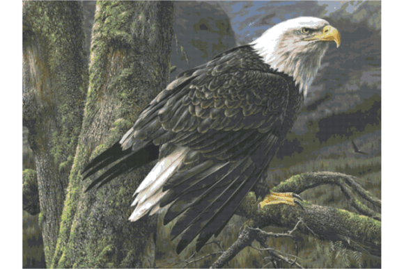 Wildlife Eagle/ Cross Stitch Patterns PDF