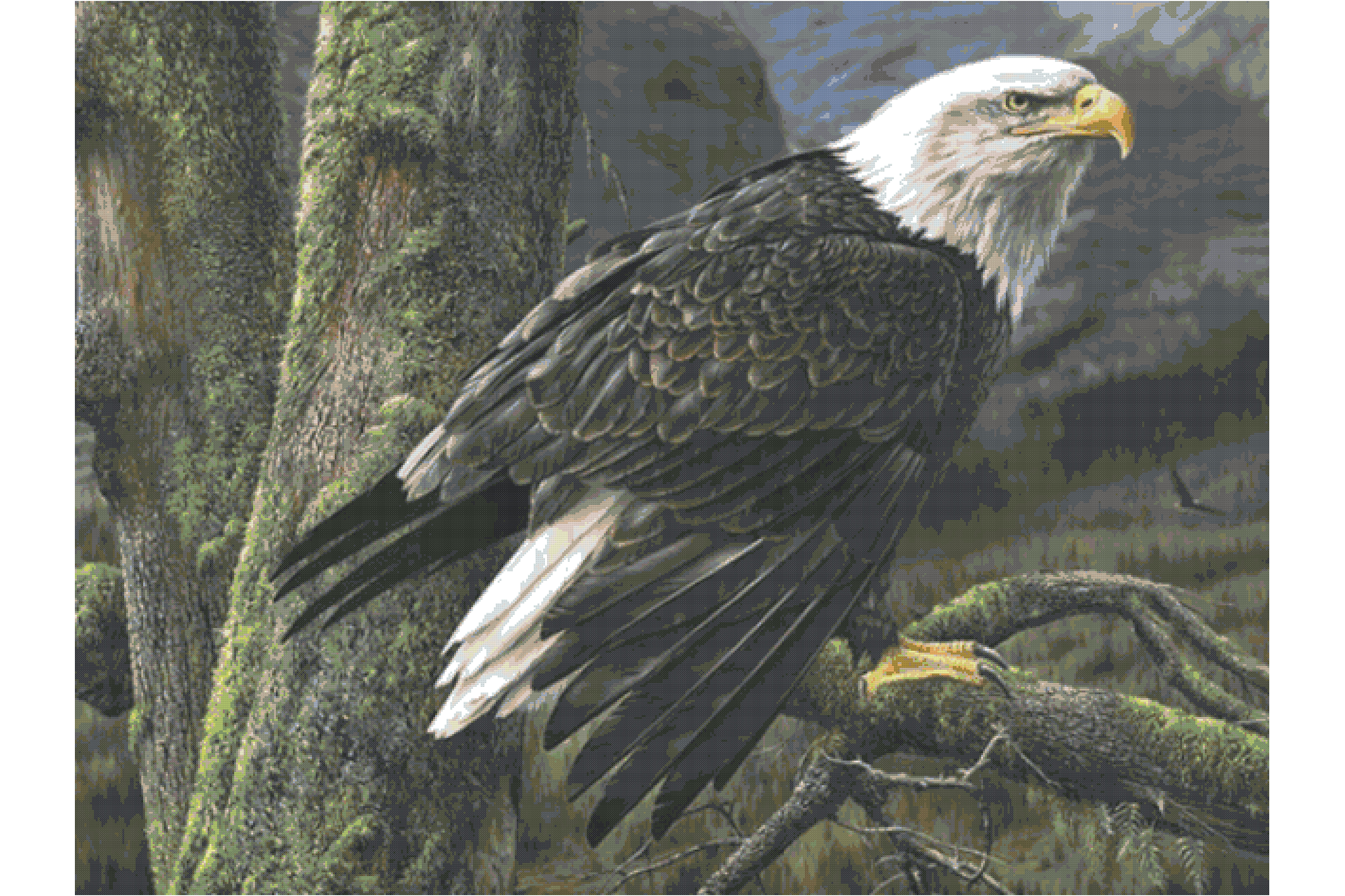 Wildlife Eagle/ Cross Stitch Patterns PDF