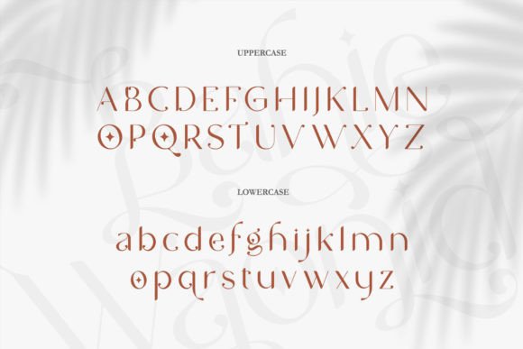 Bahie Waonid Font - Preview 3