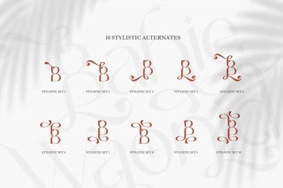 Bahie Waonid Font - Preview 6