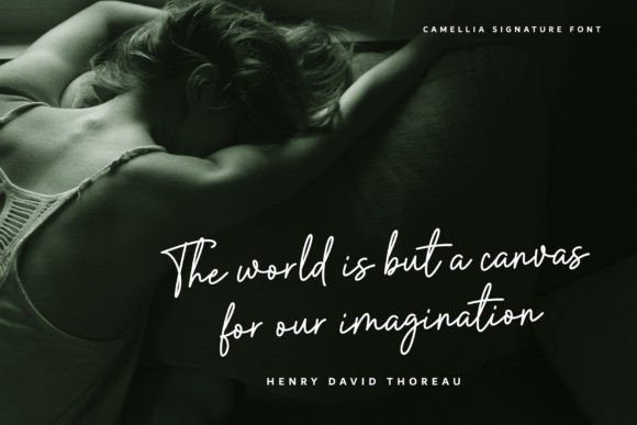 Camellia Signature Font - Preview 5