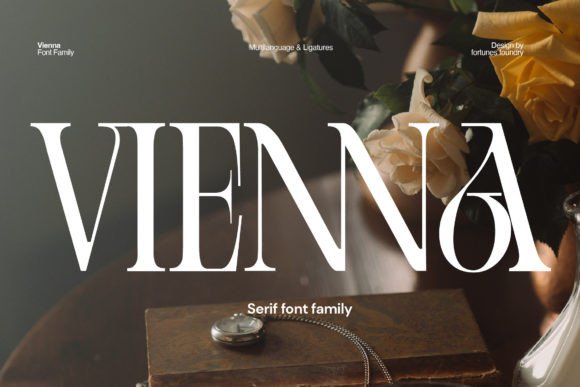 Vienna Font preview