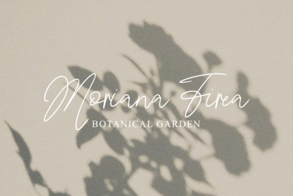 Bathire Font - Preview 6