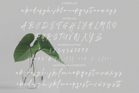 Fantting Signature Font PNG with transparent background - Preview 4