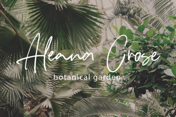 Hastipen Font PNG with transparent background - Preview 2