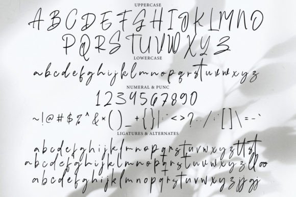 Hastipen Font - Preview 5