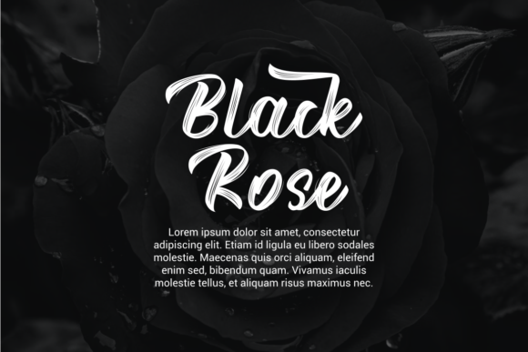 Majhike Brush Font PNG with transparent background - Preview 2