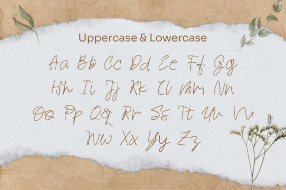 Moully Wassilu Font PNG with transparent background - Preview 2