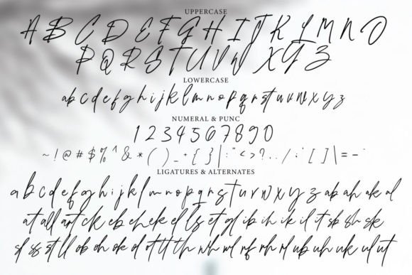 Pelsiwe Font PNG with transparent background - Preview 6