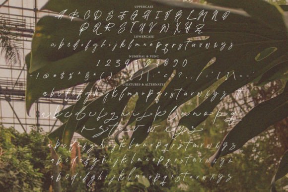 Qikabey Font PNG with transparent background - Preview 3