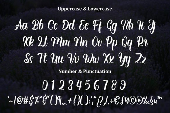 Daisy Font - Preview 1