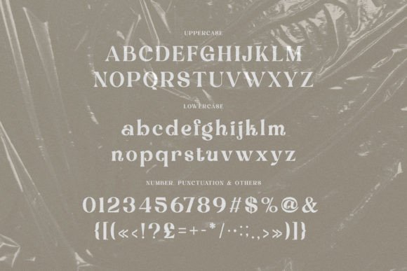 Debrian Font - Preview 4