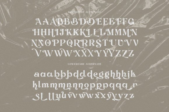 Debrian Font - Preview 5