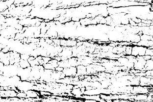 Bark Texture Graphics Design Grunge Tree Bark Texture Graphic by sayedhasansaif04 · Creative Fabrica