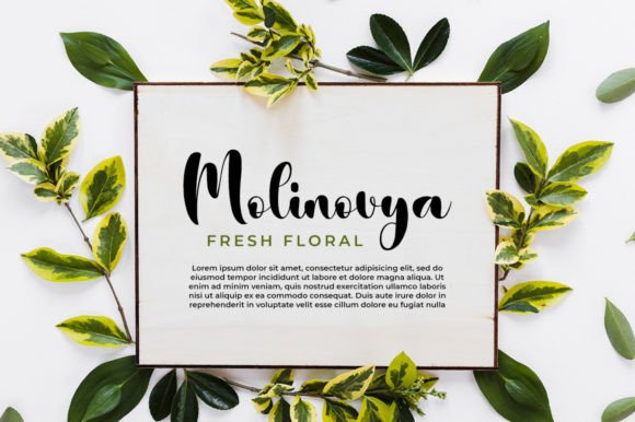 Hemiphosa Font - Preview 4