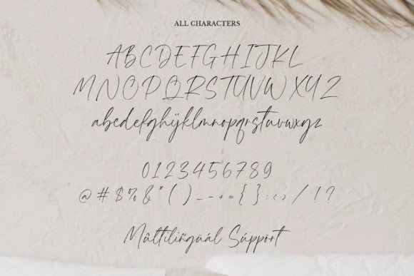 Aromatic Signature Font - Preview 5