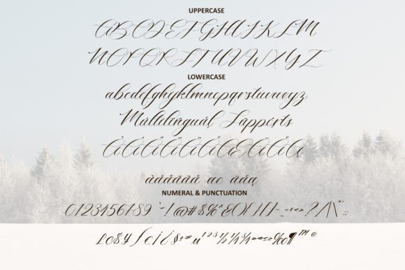Dellafonts Font - Preview 5