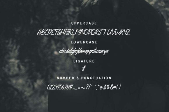 Febiola Font PNG with transparent background - Preview 4