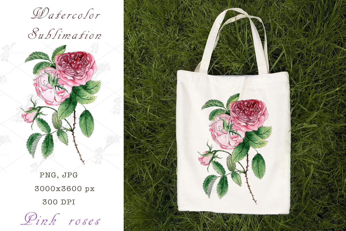 Watercolor Sublimation Pink Roses Graphic by SnowTalesArt · Creative ...