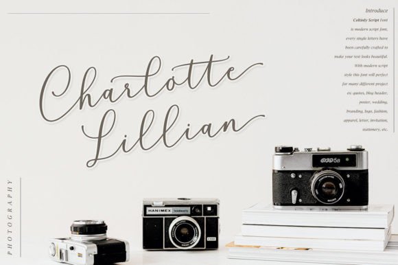 Coltinly Script Font - Preview 1