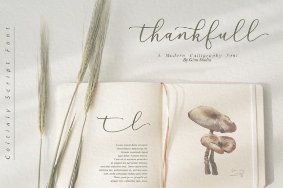 Coltinly Script Font - Preview 3