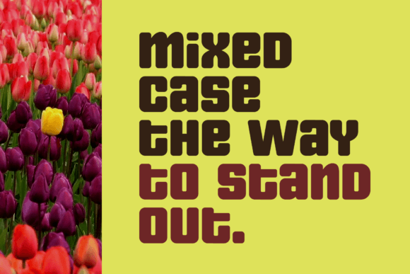 Nipok Font PNG with transparent background - Preview 1