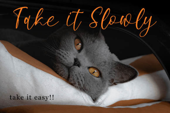 Balmoneta Font PNG with transparent background - Preview 3