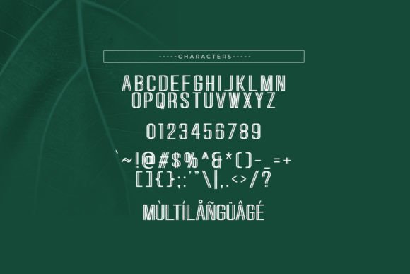 Encore Font - Preview 4