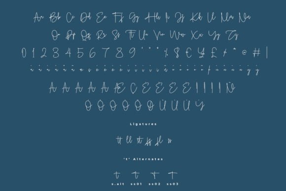 Amontiny Signature Font - Preview 5