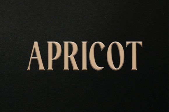Recoleta Font PNG with transparent background - Preview 6