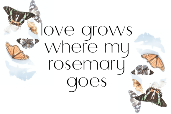 Butterfly Font - Preview 4