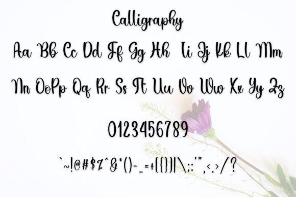 Calligraphy Font - Preview 2