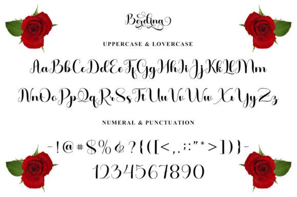 Berdina Font - Preview 5
