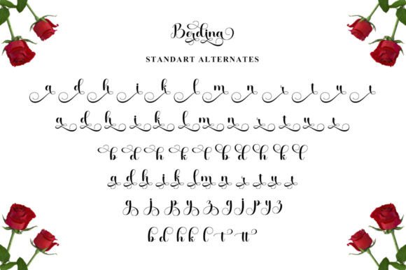 Berdina Font - Preview 6
