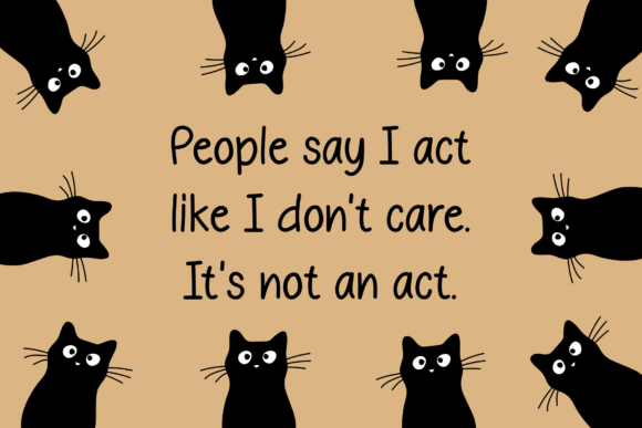 Black Cat Font - Preview 1