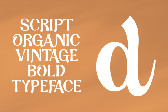 Dandy Script Font - Preview 4