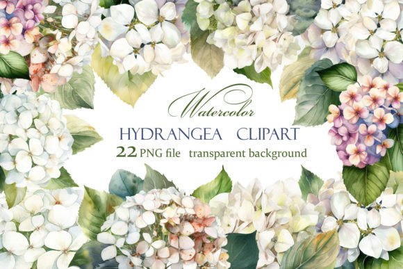 Hydrangea Clipart, White Watercolor Graphic Illustrations By ElenaZlataArt