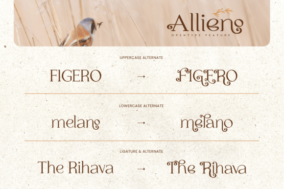 Allieno Font - Preview 4