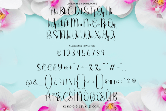 Beautiful Font - Preview 4