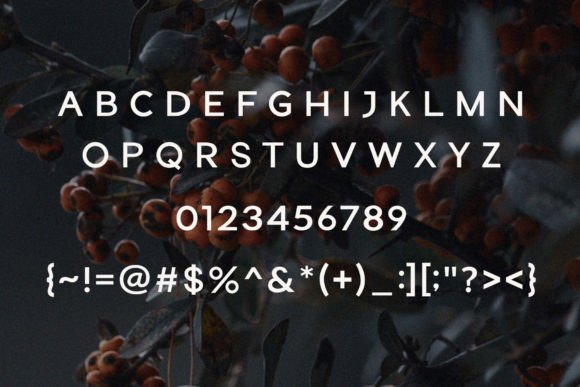 Junger Font PNG with transparent background - Preview 3