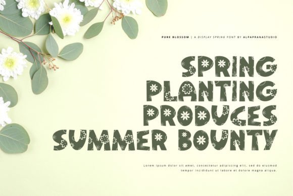 Pure Blossom Font PNG with transparent background - Preview 3