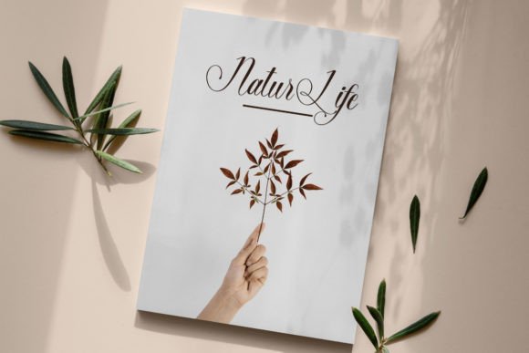 Anna Audrey Font - Preview 6