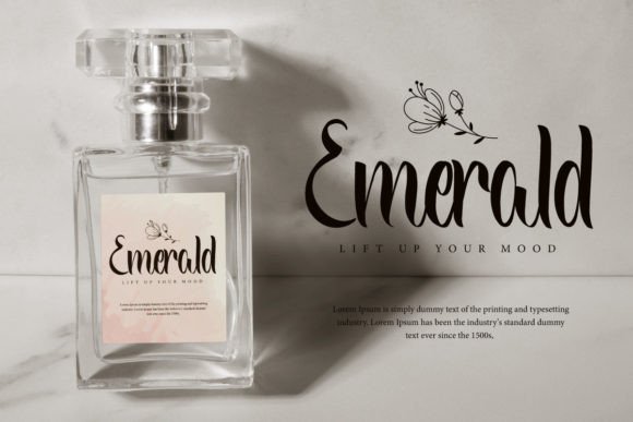 Back and Forward Font - Preview 5