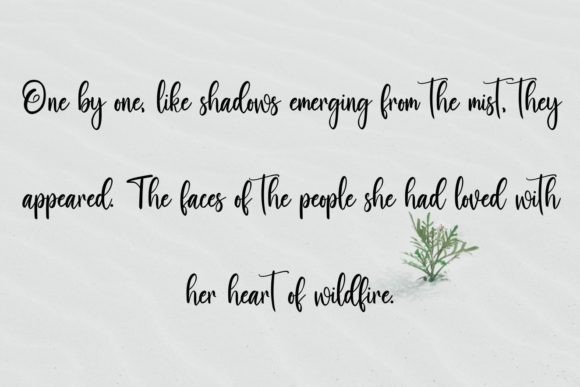 Diary Queen Font - Preview 3