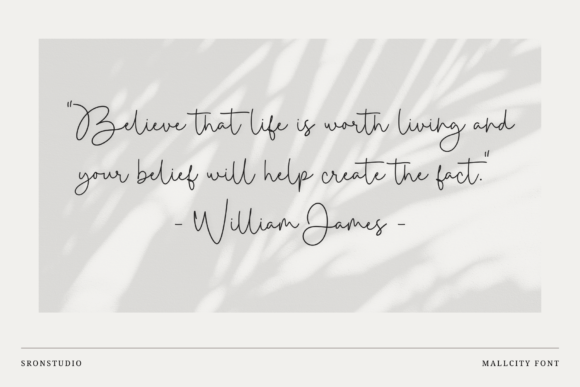 Mallcity Font font preview - 3