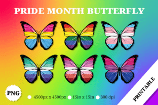 Rainbow Pride Butterfly Flag Graphic by Rahallus Ntx · Creative Fabrica