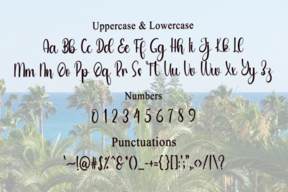 Family Font - Preview 3