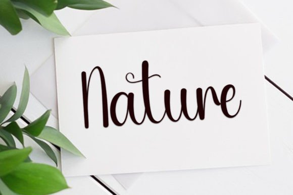 Family Font - Preview 4