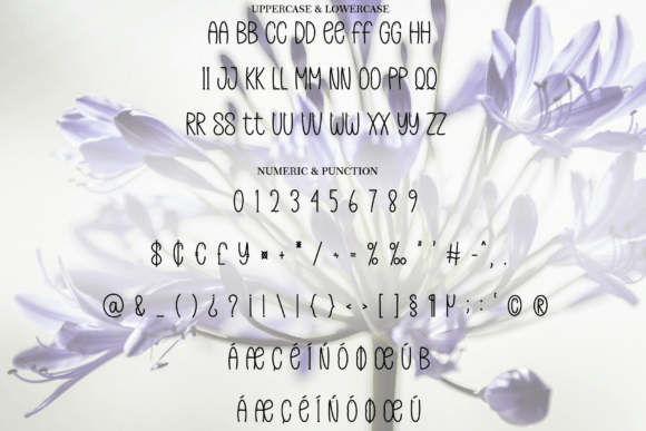 Agapanthus Font - Preview 5