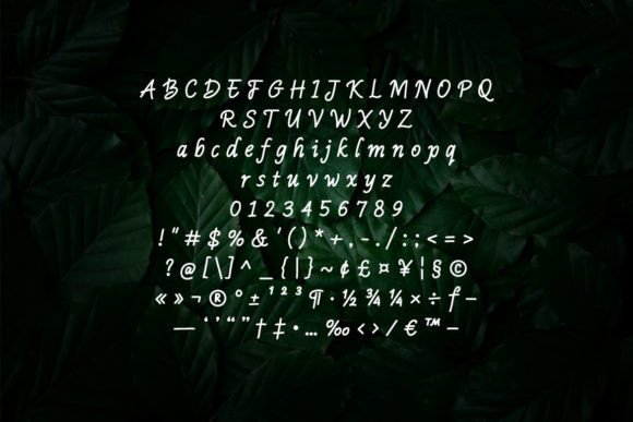Awrels Font - Preview 3